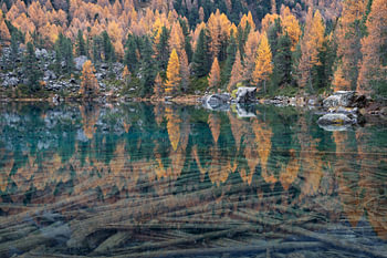 Saoseo reflection