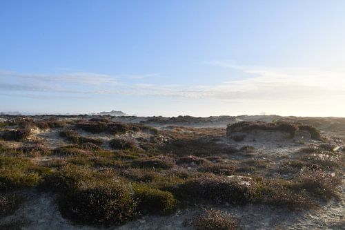 Zonsopkomst Balloërveld