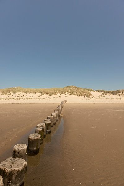 Tiefblauer Himmel und Strand mit Strandpfählen in den Dünen von Karijn | Fine art Natuur en Reis Fotografie