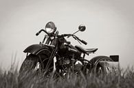 Classic Harley by Rene Jacobs thumbnail