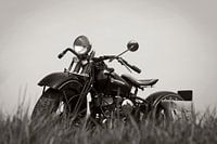 Classic Harley