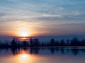 Coucher de soleil à Oostvaardersplassen par Mirakels Kiekje Aperçu