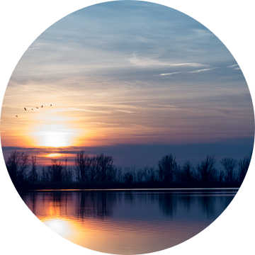 Zonsondergang Oostvaardersplassen van Mirakels Kiekje