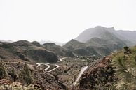 Bergen Gran Canaria van Jantine Prins thumbnail