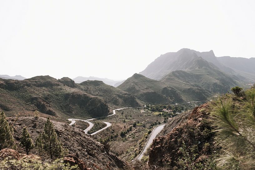 Mountains of Gran Canaria by Jantine Prins