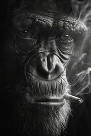 Portrait expressif en noir et blanc d'un singe fumeur sur Poster Art Shop