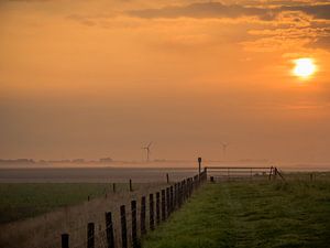 Sonnenaufgang an einem Zaun