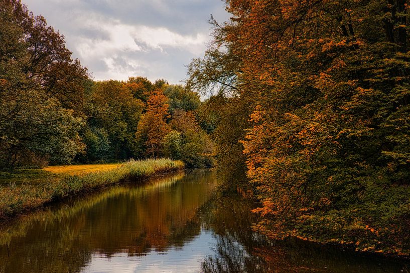 Visage d'automne dans la forêt d'Amsterdam par peterheinspictures