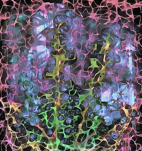 Van de bloemengrens 3