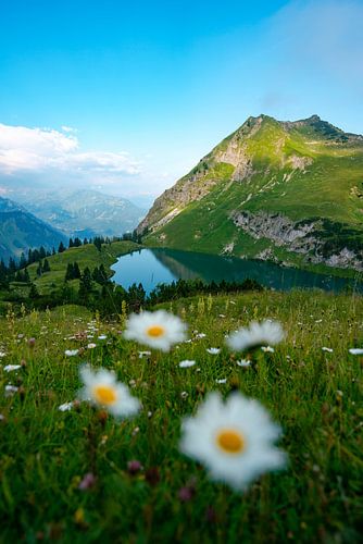 Bloemrijk uitzicht op de Seealpsee in de Allgäuer Alpen
