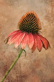 Vintage sun hat by Beate Wurster