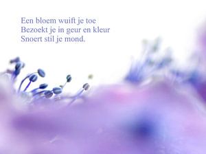 Une fleur vous invite