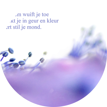 Een bloem wuift je toe