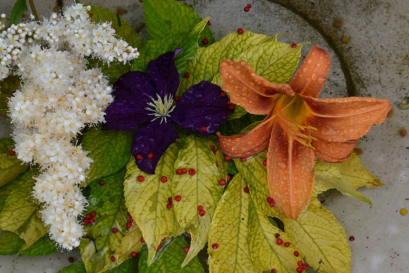 Flowers in a puddle of water by Claude Laprise