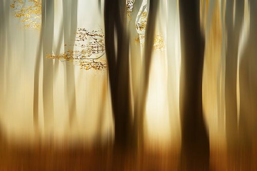 Herfst