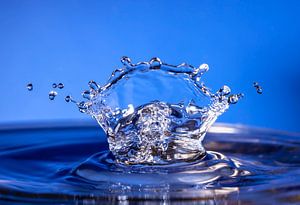 Splash !