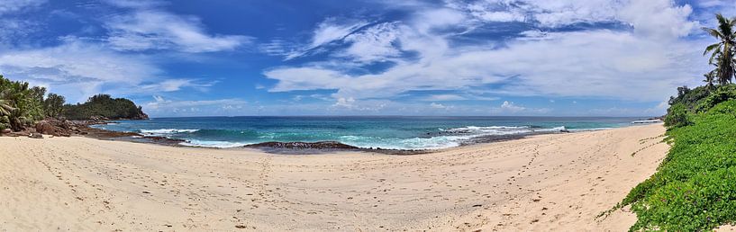 Fantastic beach with palm tree in the Seychelles by MPfoto71