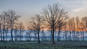 Morgenglühen