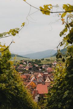 Wijnvelden en dorpje in de Elzas | Frankrijk van Marika Huisman fotografie