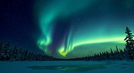 Aurora Magica – Nordlicht-Illusion in Grün und Gold von ButterflyPix