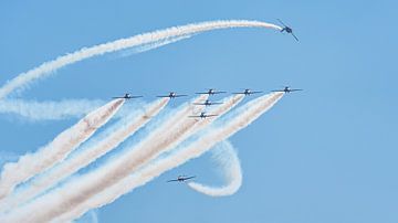 Les Snowbirds des Forces armées canadiennes. sur Jaap van den Berg
