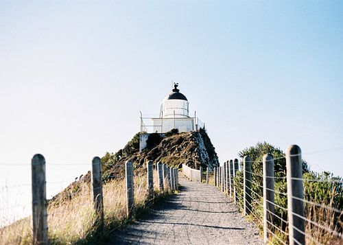 Vuurtoren op Nugget Point in de buurt van The Catlins | Nieuw Zeeland