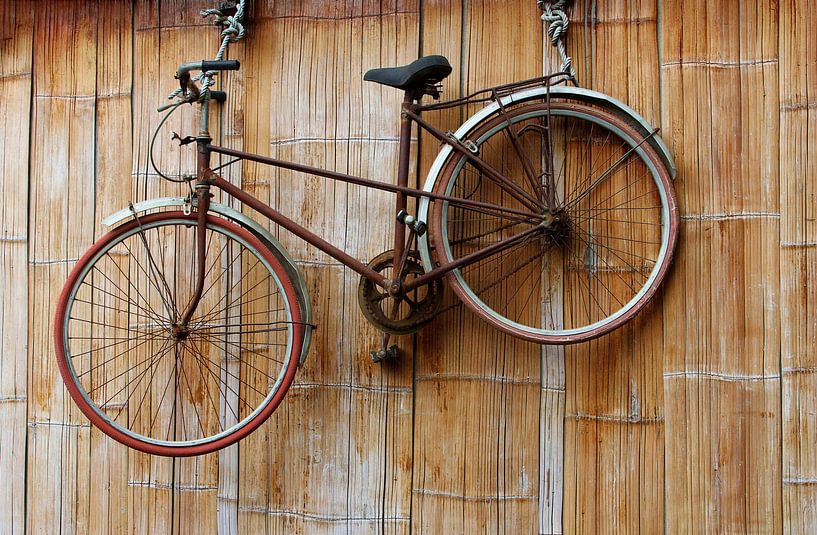 Roestige fiets (Urbex) van Inge Hogenbijl