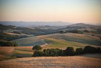 Volterra