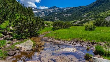 Rivier in de Pirin bergen in Bulgarije van Jessica Lokker