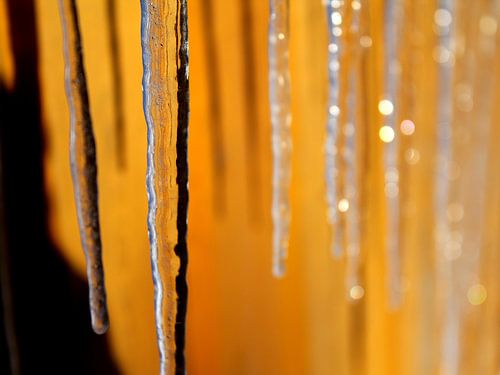 Glaçons gelés devant un mur jaune