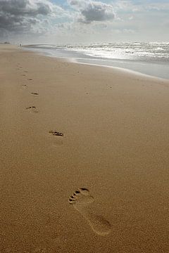 Een eenzame wandeling von Annick Cornu