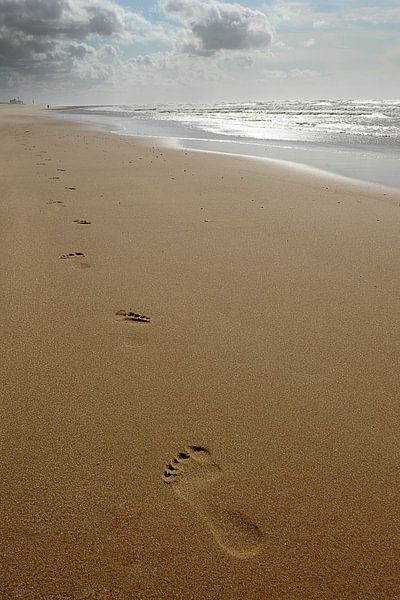 Een eenzame wandeling by Annick Cornu