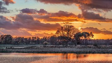 Wetland against orange cloudy sky during sunset by Tony Vingerhoets