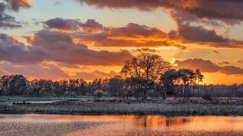 Wetland against orange cloudy sky during sunset
