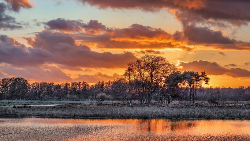 Wetland gegen orange bewölkten Himmel bei Sonnenuntergang von Tony Vingerhoets