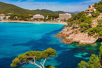 Canyamel baai, strand op Mallorca prachtige kustlijn, Spanje Balearen van Alex Winter