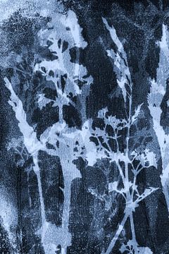 Abstract Botanical. Flowers, plants and grasses in light and dark blue and black by Dina Dankers