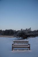 Bench
