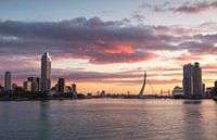 Rotterdam se réveille par Ilya Korzelius Aperçu