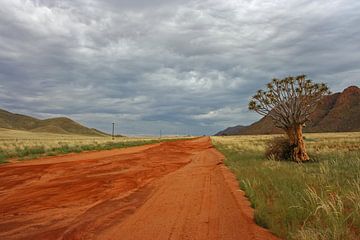 Traumstraße in Namibia von ManSch