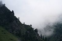 La nature sauvage