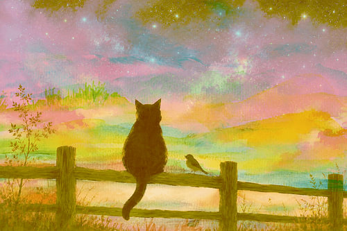 Nocturnal magic beneath the starry sky