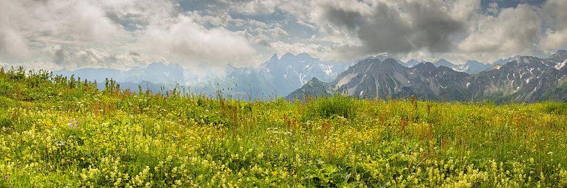 Bergzomer in de Allgäu van Walter G. Allgöwer