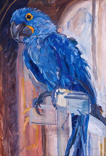 Blauwe Ara, Carl Fahringer