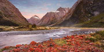 Fiordland Nationaal Park van Rainer Mirau