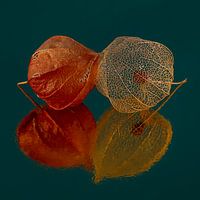 Si heureux ensemble : deux lanternes sur fond d'essence