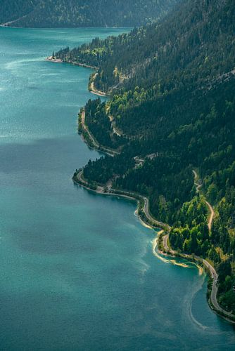Prachtig bergzicht op de oever van het Plansee meer