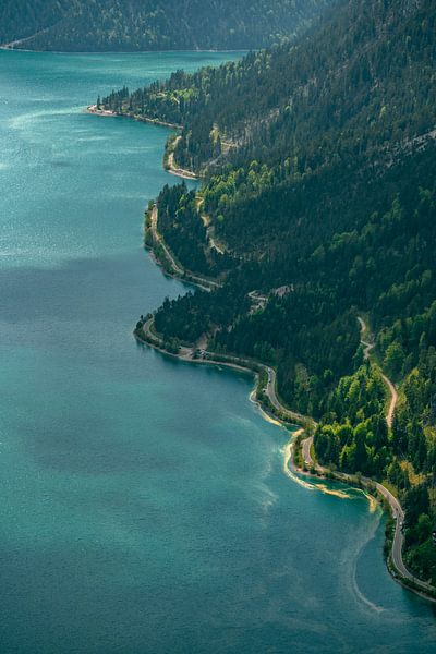 Beautiful mountain view of the shore of the Plansee lake by Leo Schindzielorz