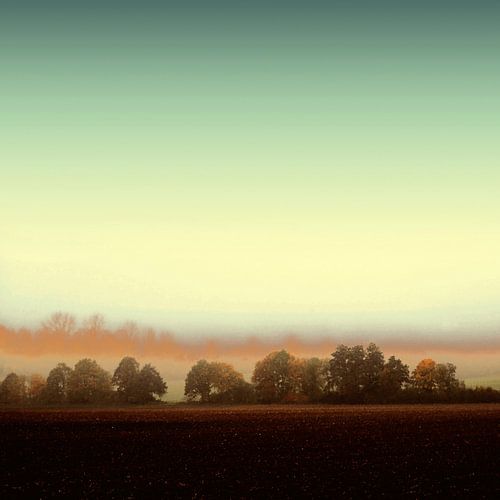 MISTY OCTOBER DAY-VIII-A