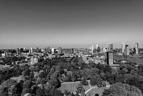 Erasmusbrug Rotterdam vanaf de Euromast.